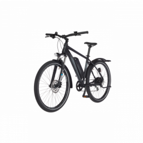 E-Bike Fischer ATB TERRA 2.0, Akku 557Wh