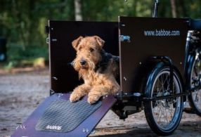 E-Lastenbike Babboe Dog E dunkelbraun