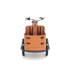 E-Lastenbike Babboe Go E