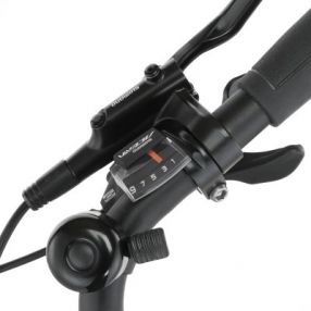 Fischer Citybike CITA 3.3i, Akku 630Wh Greigeviolett