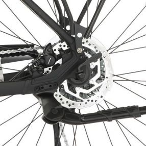 E-Bike Herren Fischer Viator 4.2i Akku 711 Wh