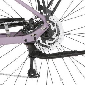 Fischer Citybike CITA 3.3i, Akku 630Wh Greigeviolett