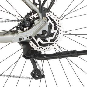 E-Bike FISCHER ATB Terra 4.0i 630 Wh, 55cm RH