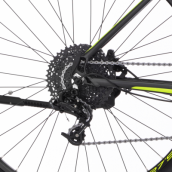 E-Bike FISCHER MONTIS 5.0i Limited Edition