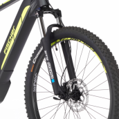 E-Bike FISCHER MONTIS 5.0i Limited Edition